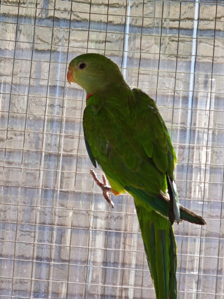 img 20260531 151633